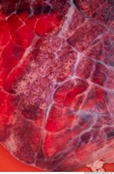 Photo Textures of RAW Pork Meat